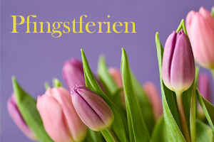 Zum Artikel "Öffnungszeiten in den Pfingstferien"