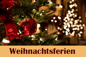 Zum Artikel "Öffnungszeiten in den Weihnachtsferien"