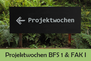 Projektwochen BFS1 und FAKI