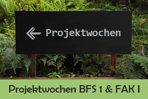 Zum Artikel "Projektwochen BFS1 und FAKI"