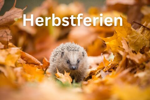 Zum Artikel "Öffnungszeiten Herbstferien"